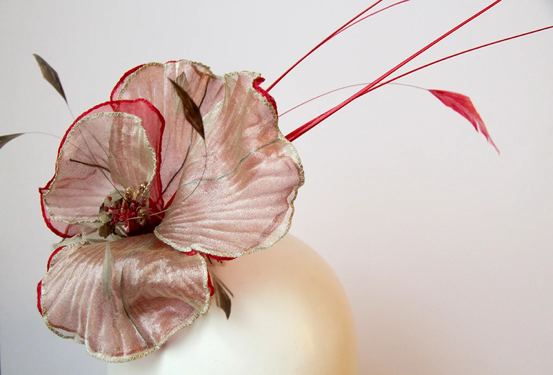 Floating petals_2_IMG_6806.jpg