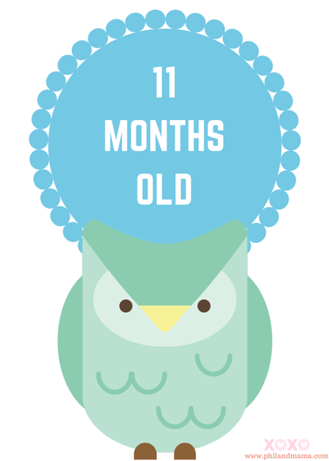 Animal-themed baby monthly milestone sign, 11 months old!