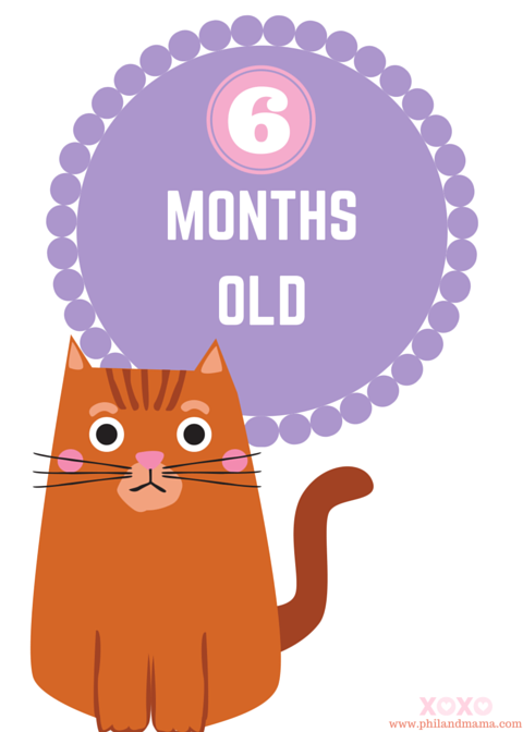 Do-it-yourself Top secret Disclosed! How in the direction of generate tremendous lovely, printable boy or girl photo about Printable Baby Month Signs titled Do-it-yourself Solution Unveiled! How toward create tremendous lovable, printable youngster