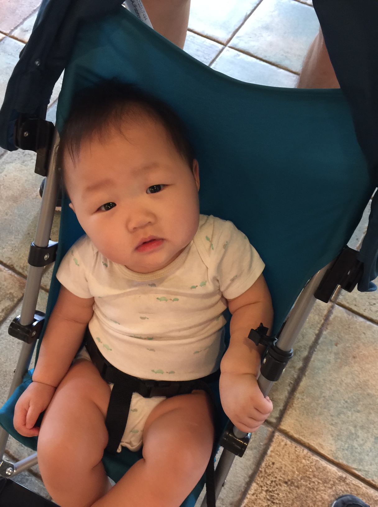 mel chilling in her very useful cheapie stroller