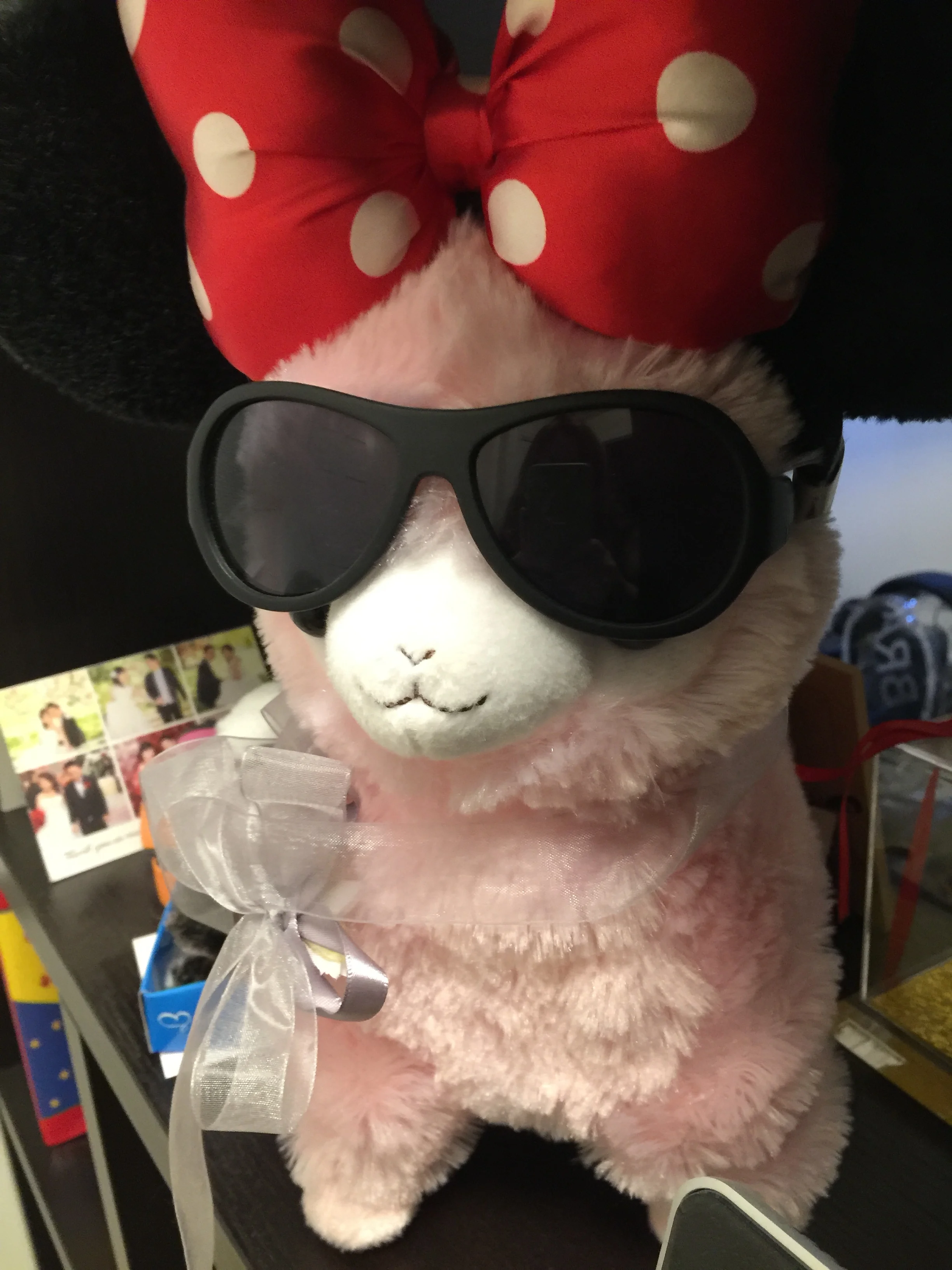i got this cute walking and singing alpaca from a ufo machine in tokyo. BESt alpaca toy ever...