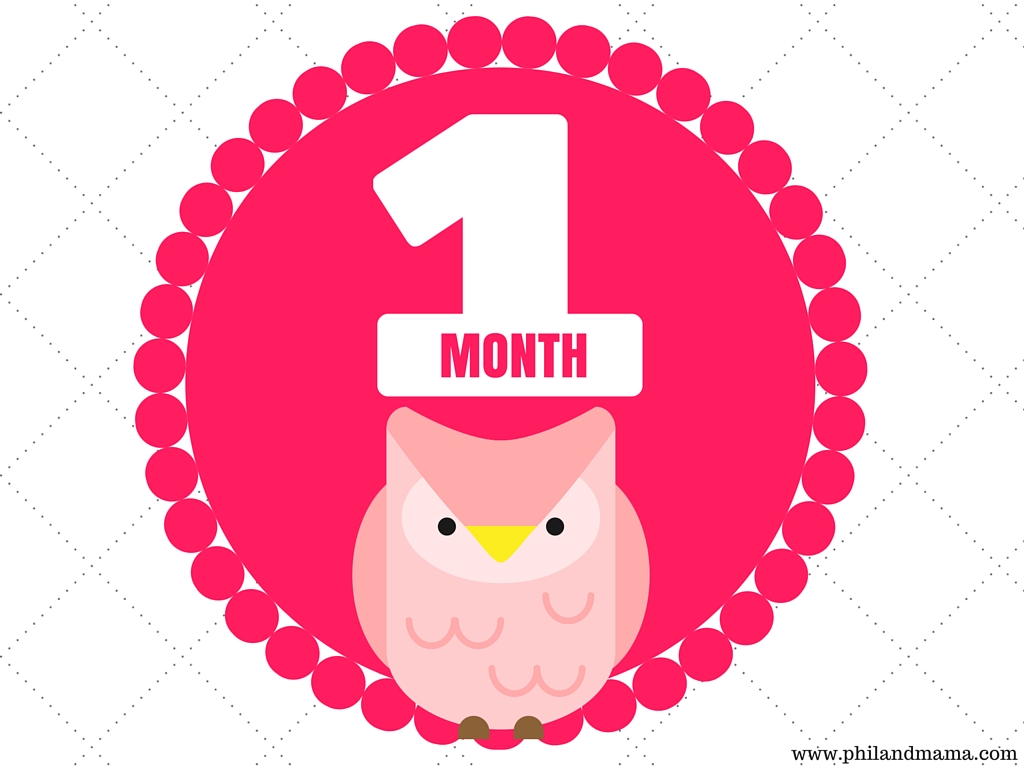 12 Months Gray 8 Bonus milestones Gender Neutral First Year Baby Monthly Milestone Stickers