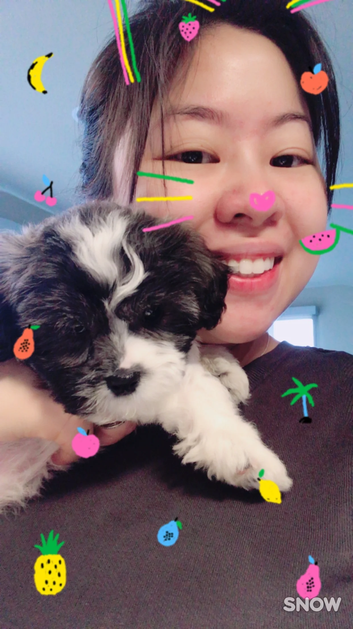 Here is Panda, a shih-poo, and Mama Kat