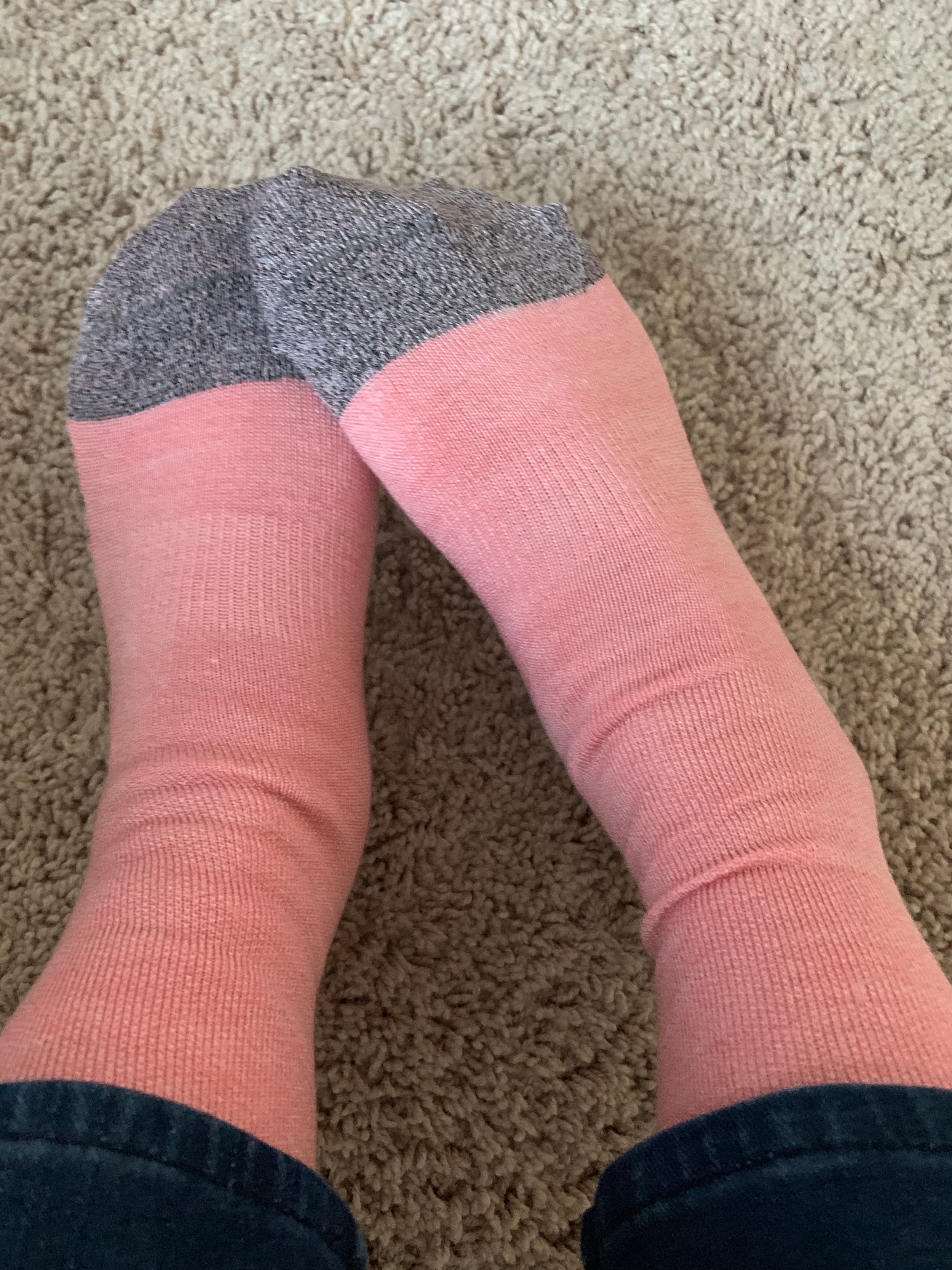 allbirds socks review