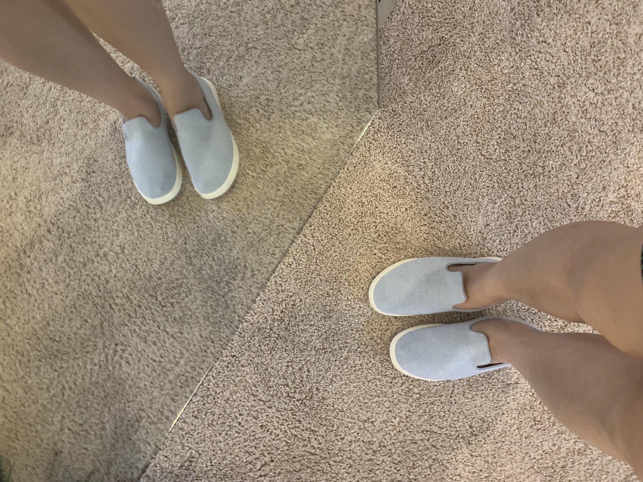 allbirds faq