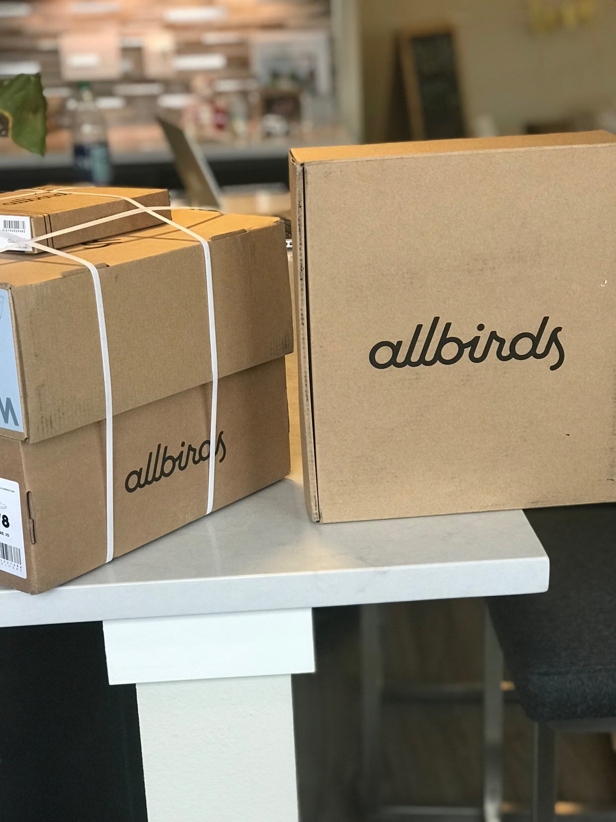 how fast do allbirds ship