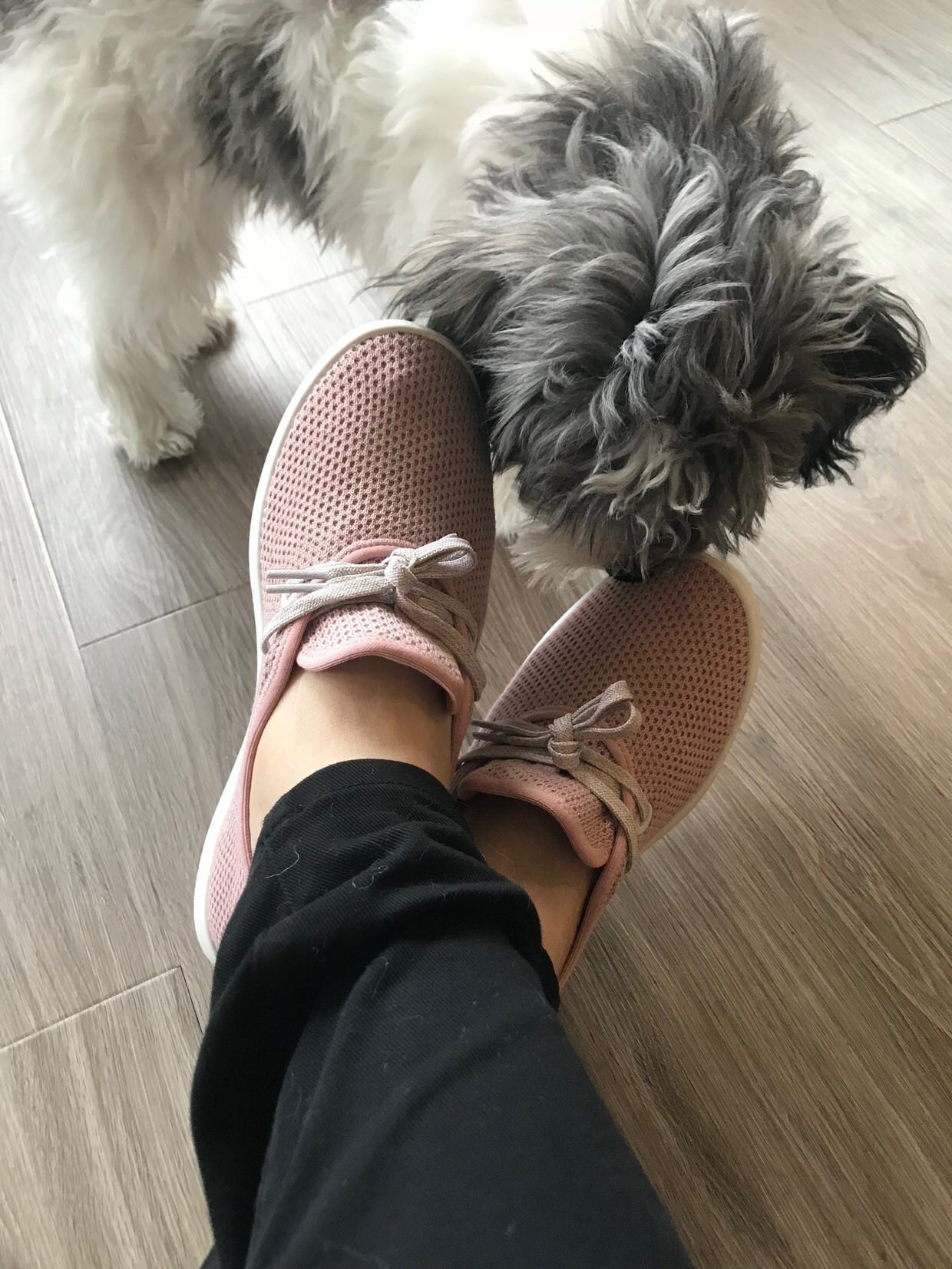 allbirds discount code reddit