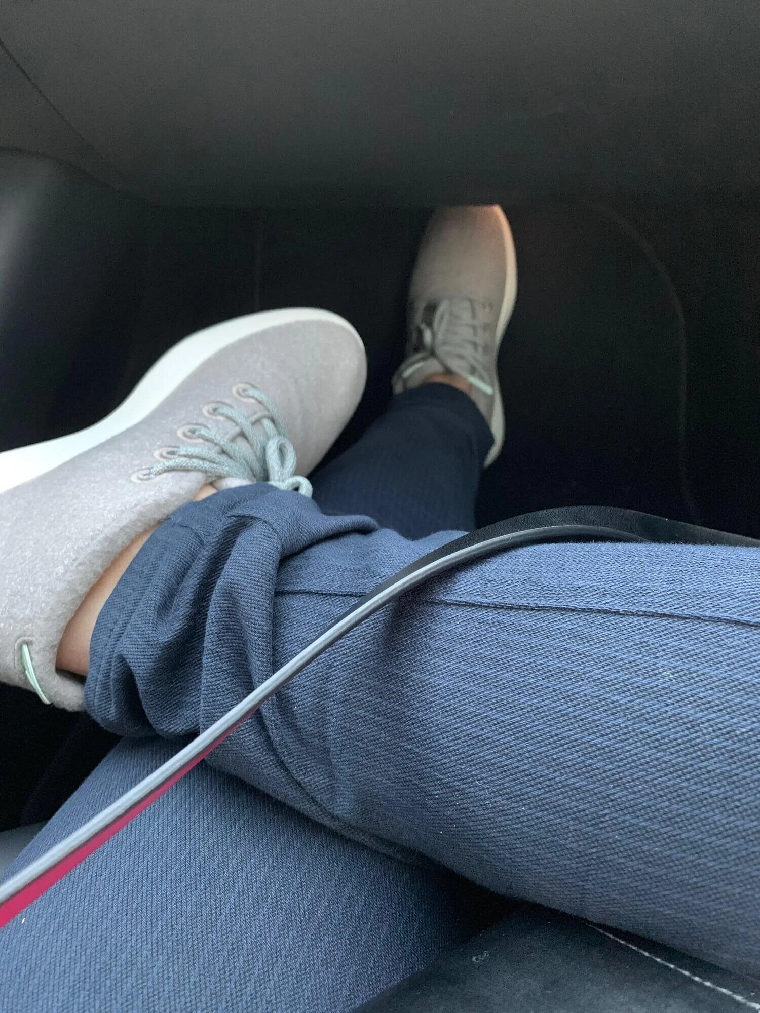 allbirds fog