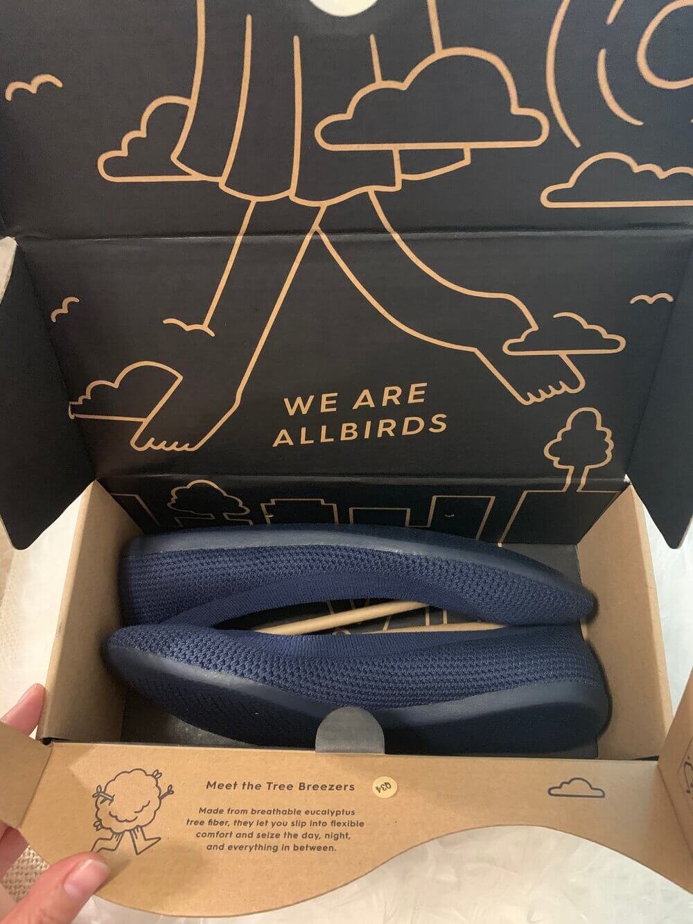 allbirds tree breezers vs rothys