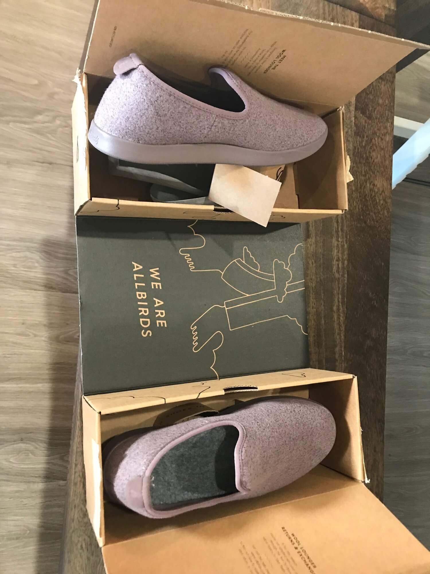 Why I returned my Allbirds Loungers  100% Honest Review of Allbirds Women  Wool Lounger in Limited Edition Kotare Plum — Phil and Mama
