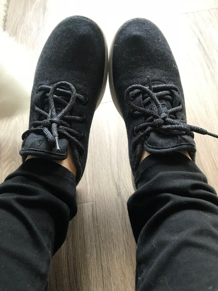 allbirds rare birds