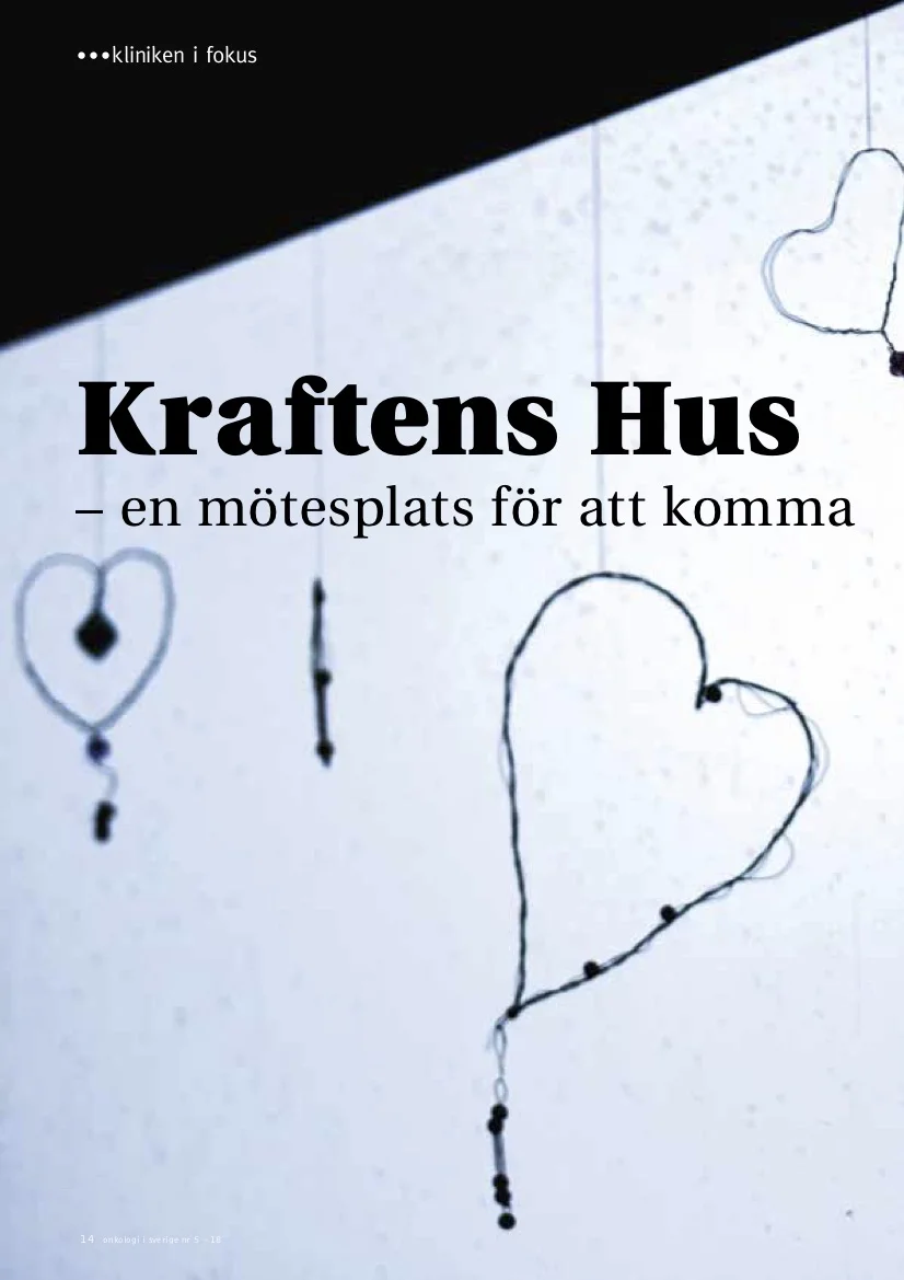 Kliniken i fokus