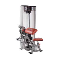 P-3000_Bicep_Press.png