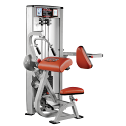 P-3100_Tricep_Extension.png