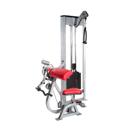 P-3350_Tricep_and_Bicep.png