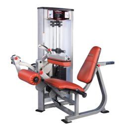P-5300_Seated_Leg_Curl.png