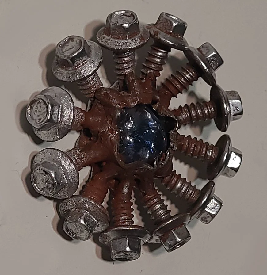 Squid Eye - side view