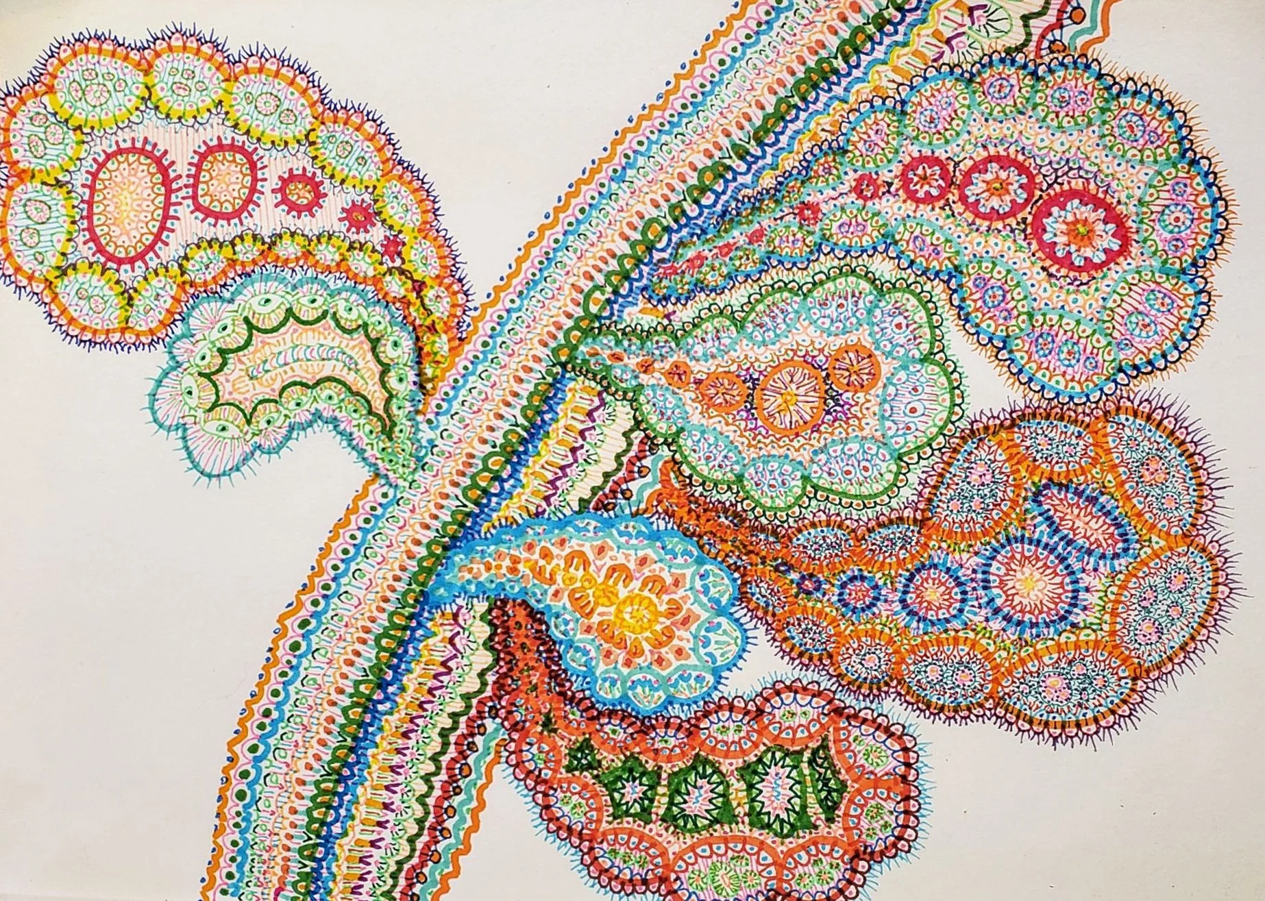 Organic Cross Section