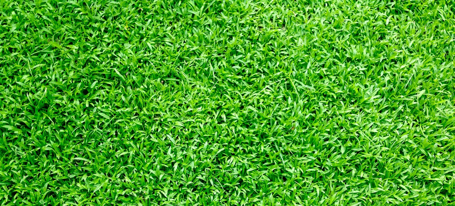 Why is artificial turf a good investment for your home? 