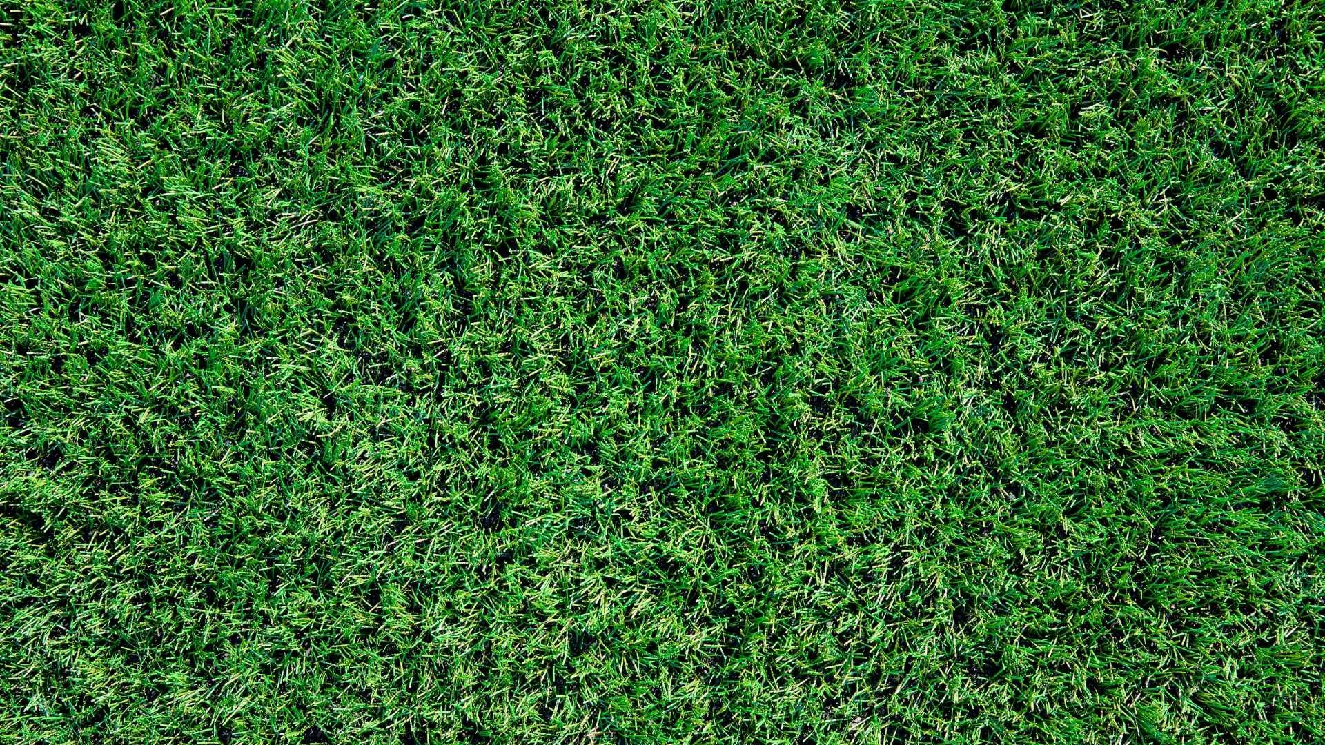 How to Clean Artificial Grass: Simple Steps for Pristine Turf