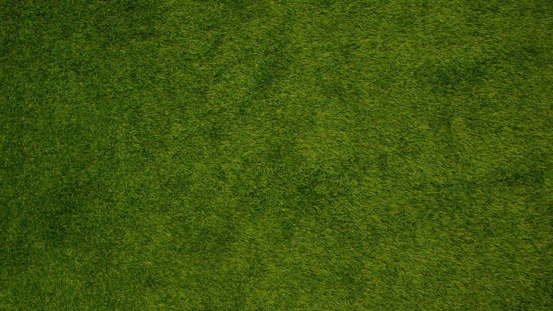 Shade Solutions: Turf in Low-Sun Areas