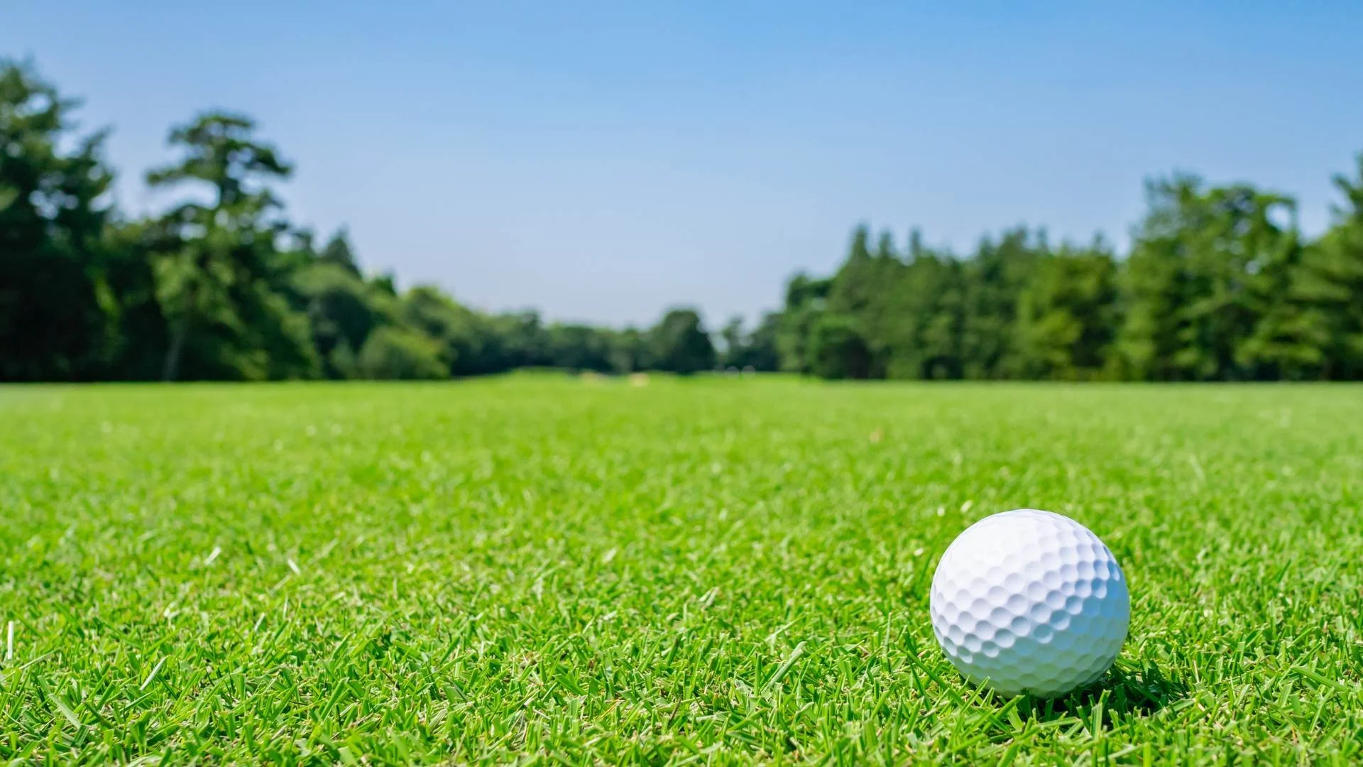 Artificial Turf vs. Mulch: Which Is Better?