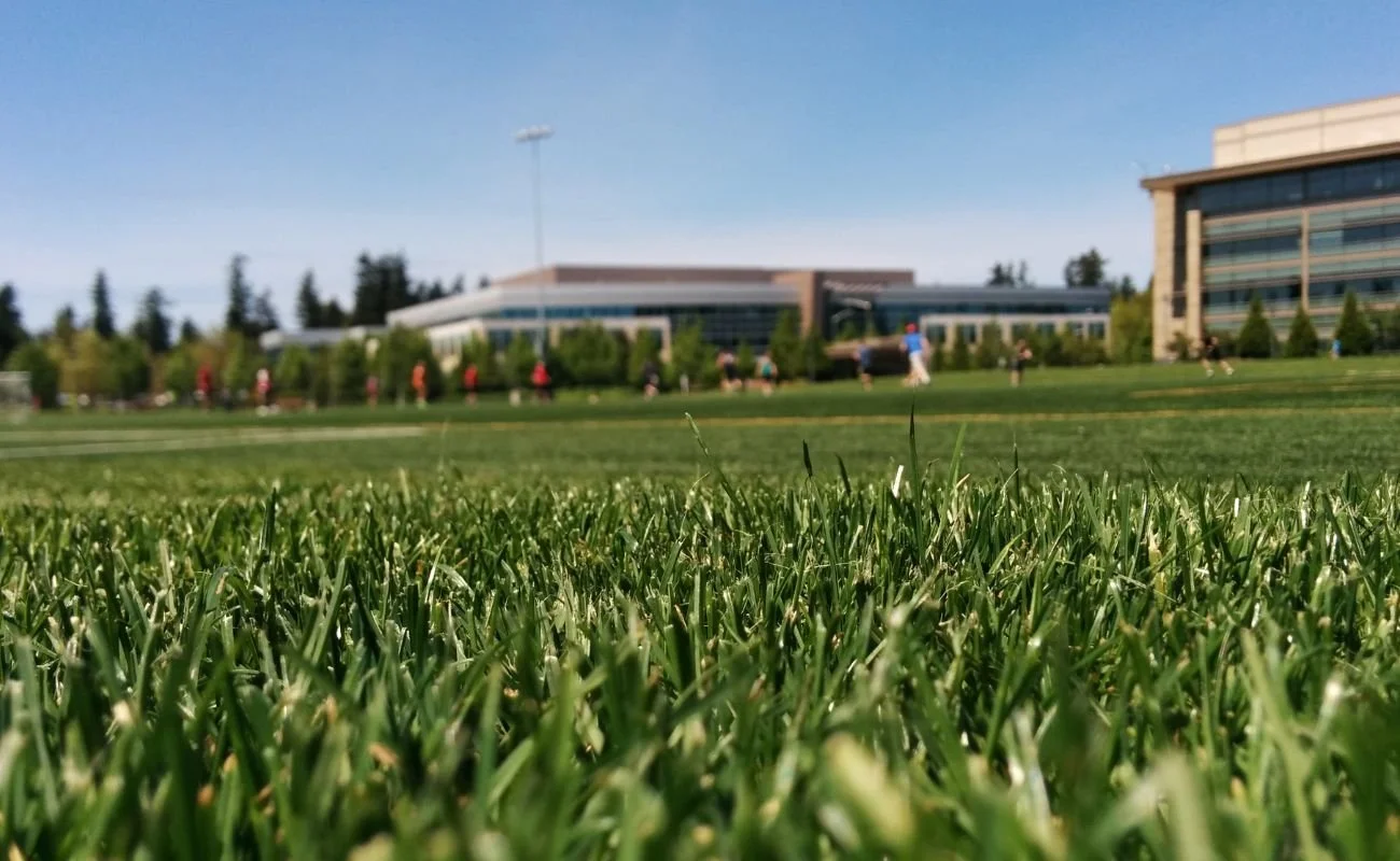 What Is the Best Base for Artificial Turf: The Complete Guide