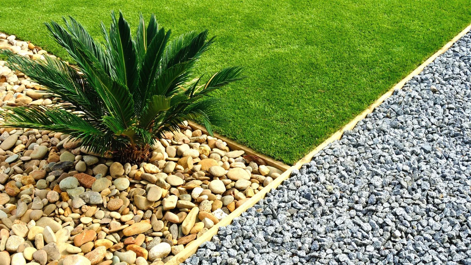 Grass Alternatives: 10 Low-Maintenance Lawn Replacements — EcoGrass