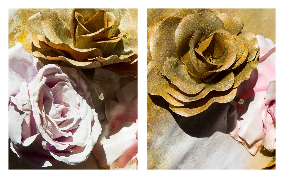 I Tried to Be a Rose and Failed