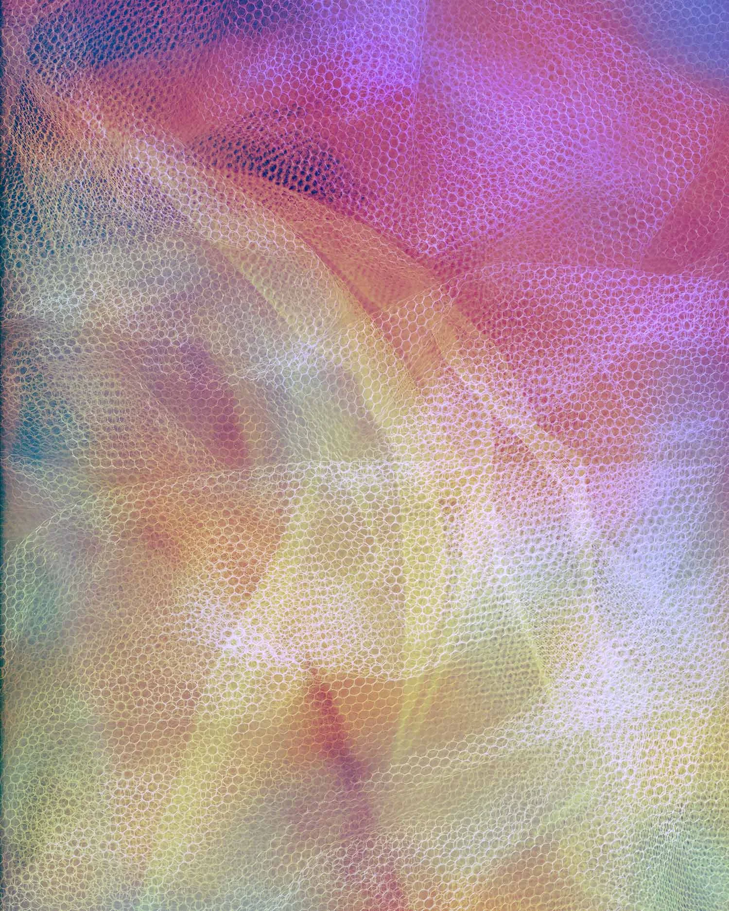 Tulle I, 2015