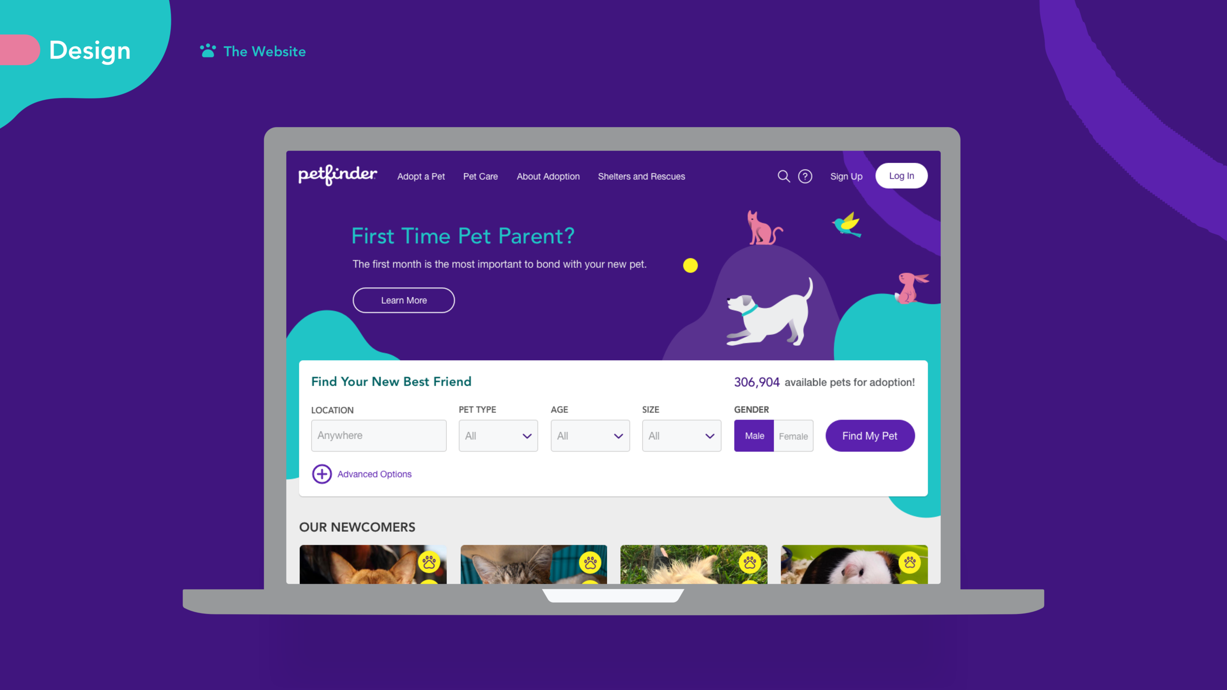 petfinder-web.png