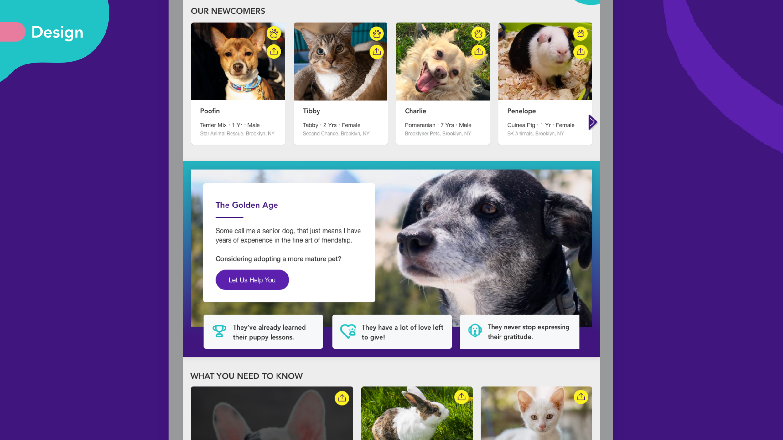 petfinder-web2.png