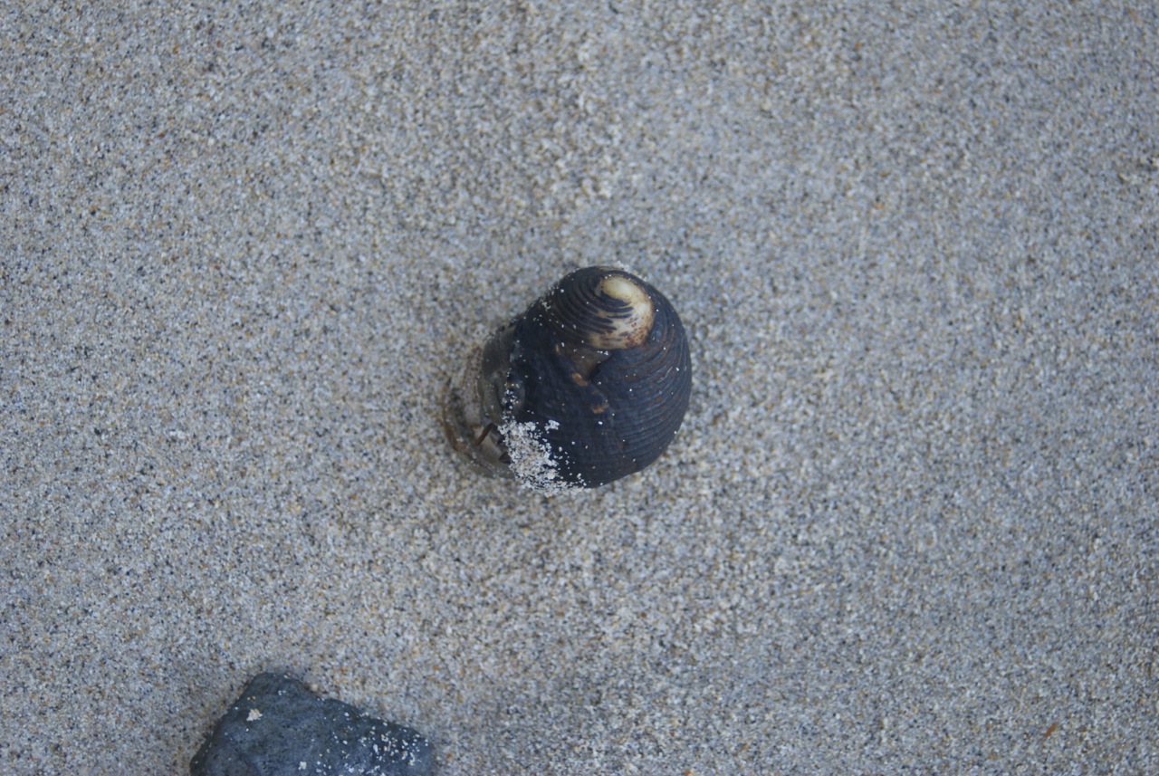 on a beach in Panama