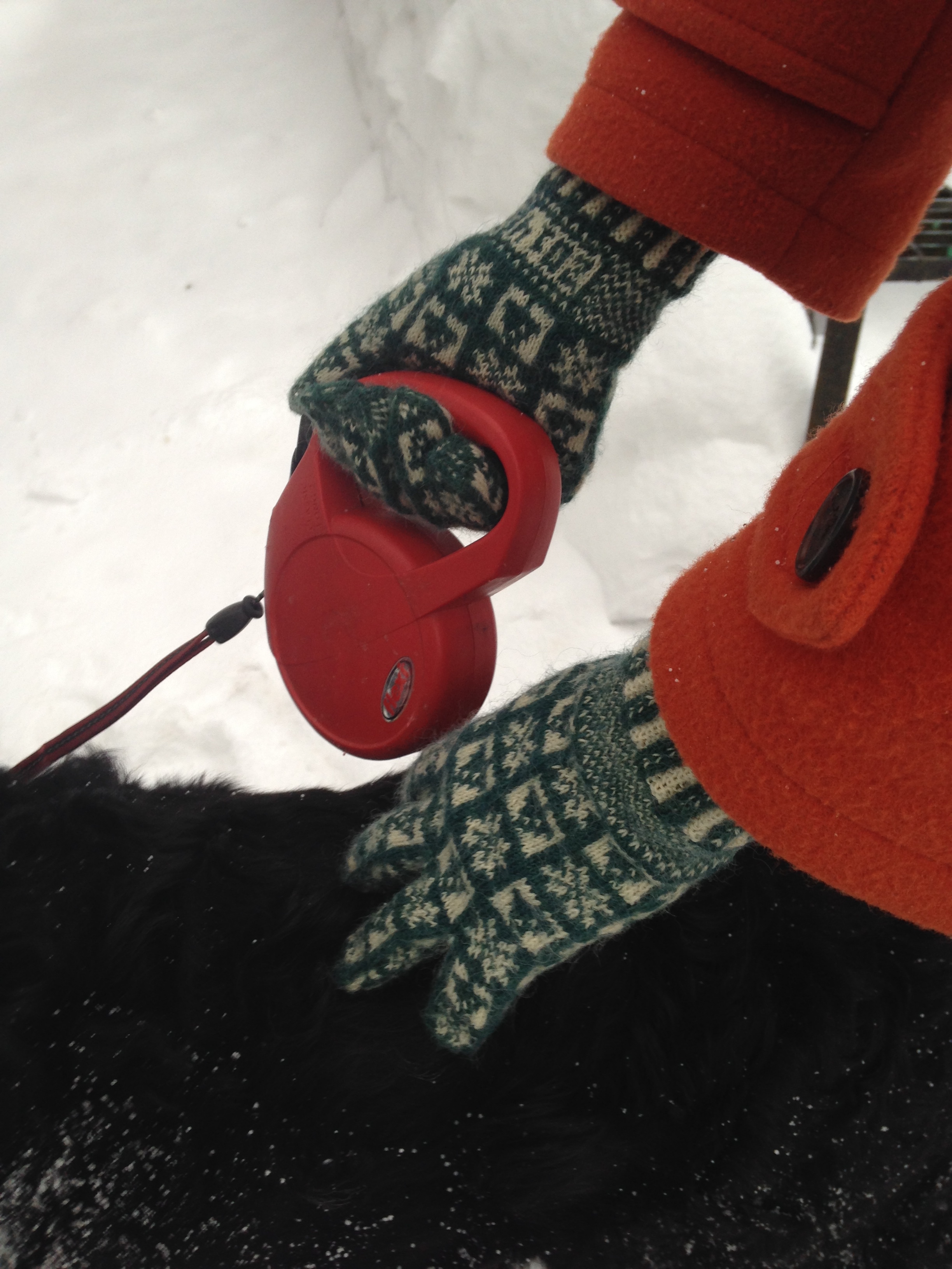 My pair of Beth Brown Reinsel's Winter: A Sanquhar Glove Pattern