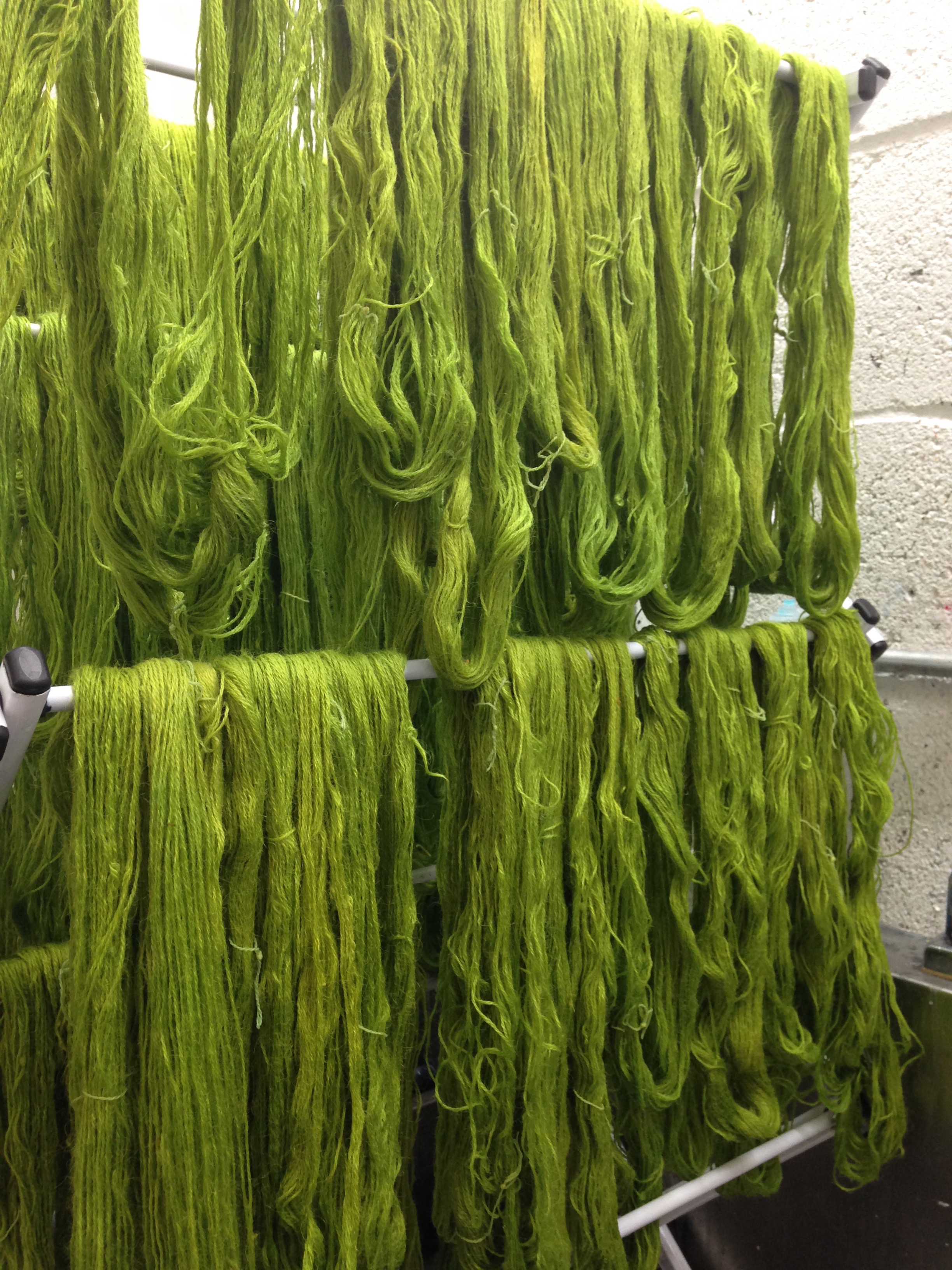 This will be Pine Green after 4 or 5 more dips.