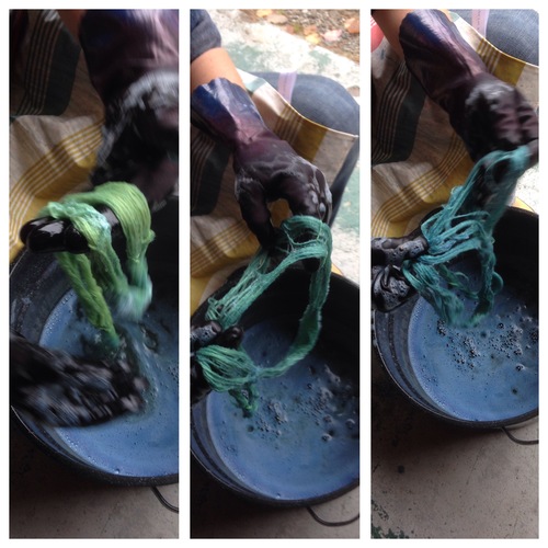 Photo credit Deb Cunningham - this is the same skein of indigo over the course of about ten seconds as the reduced indigo reacts to the presence of oxygen and turns blue again. 