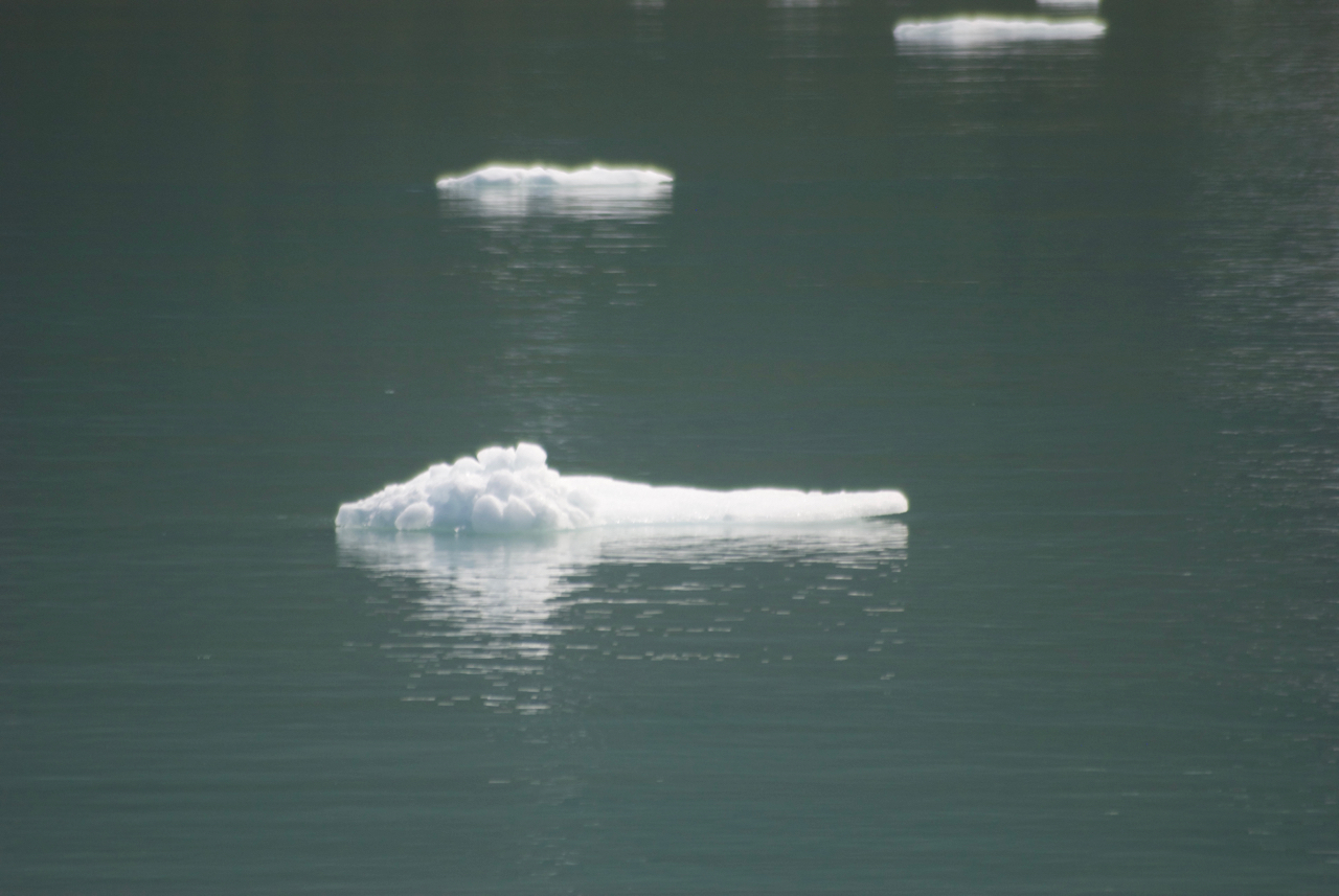 Followers of my Instagram feed know that I became slightly obsessed by photographing icebergs. Endicott Arm