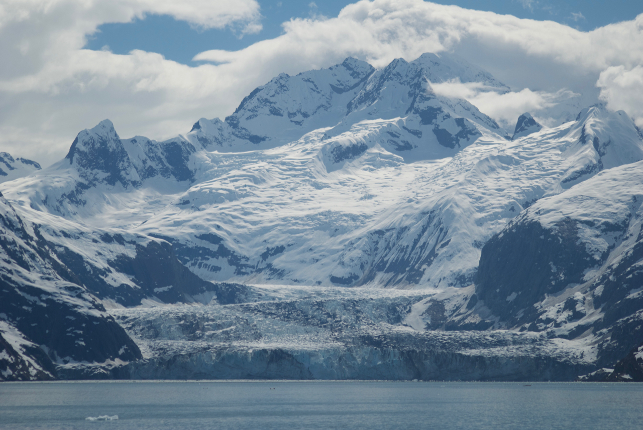 Johns Hopkins Glacier. During the spring harbor seals give birth on icebergs at the base of the glacier. Harbor seals are very shy, and if the pup is too young when the mother startles into the water they may not be able to re-find each other. This is as close as we get to the glacier when the harbor seals are pupping. (The scale of the place is impossible to show, but we are very far away from the face of the glacier). Glacier Bay National Park