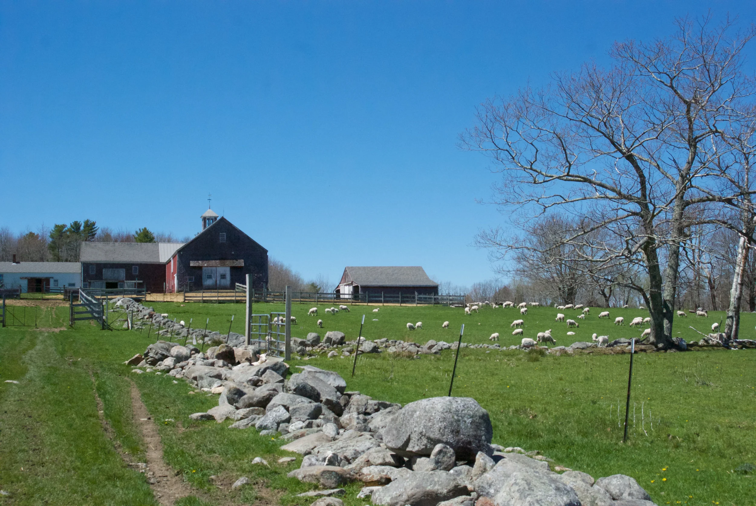 Two Sisters Farm
