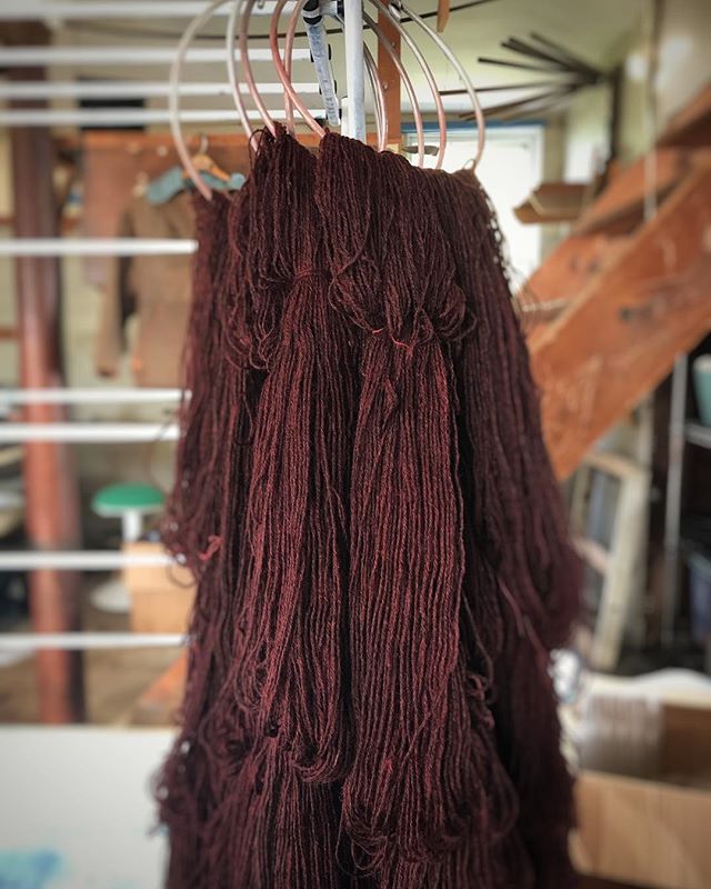 Fresh from rinsing: one dyelot of #coopworthganseyyarn in the Purpleheart colorway. This color was a happy accident the first time I dyed it. Thrilled that I managed it again, deliberately this time🧶. This dyelot was specially requested by a #gansey
