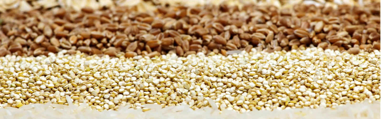 Banner_Whole-Grain.jpg