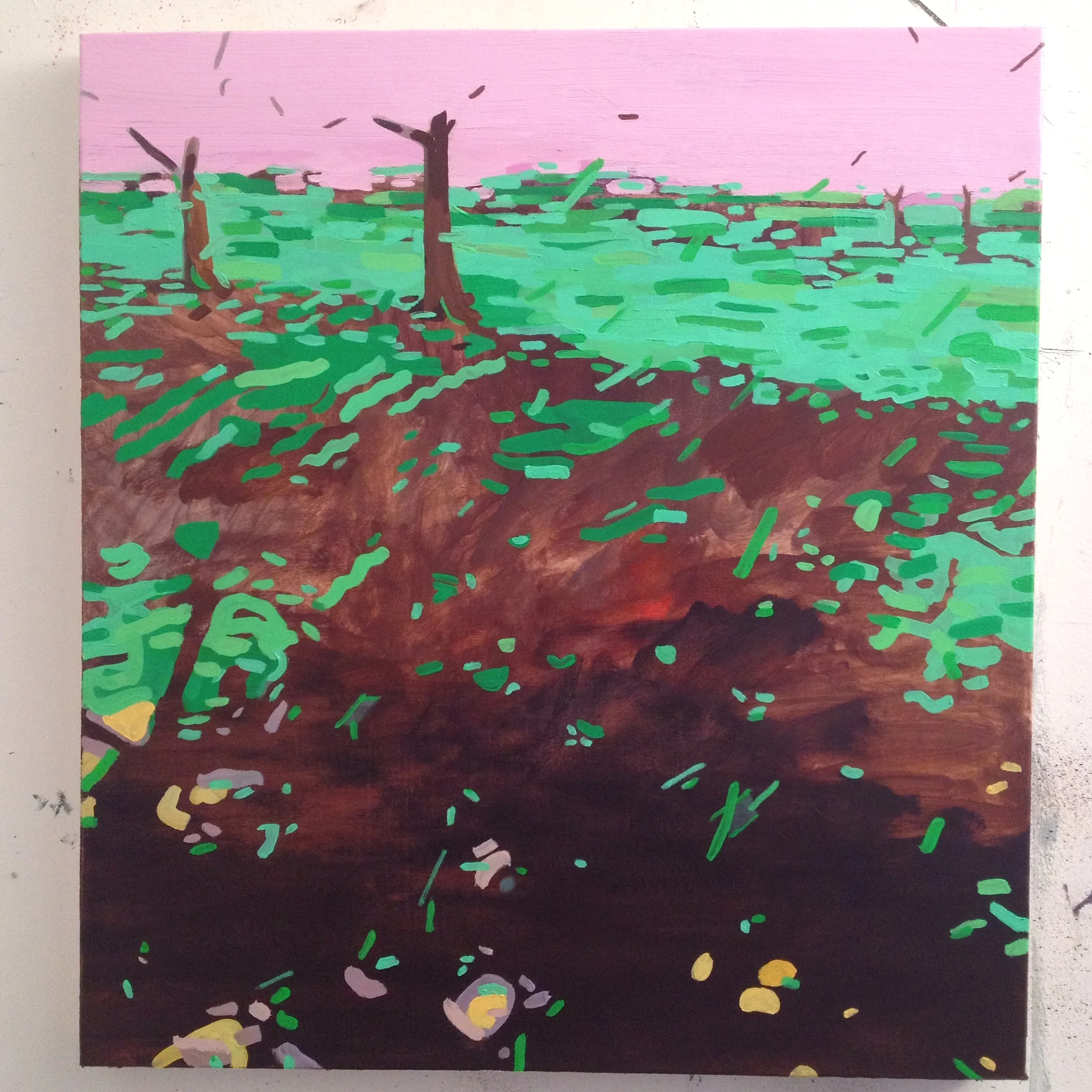 Cherry Trees