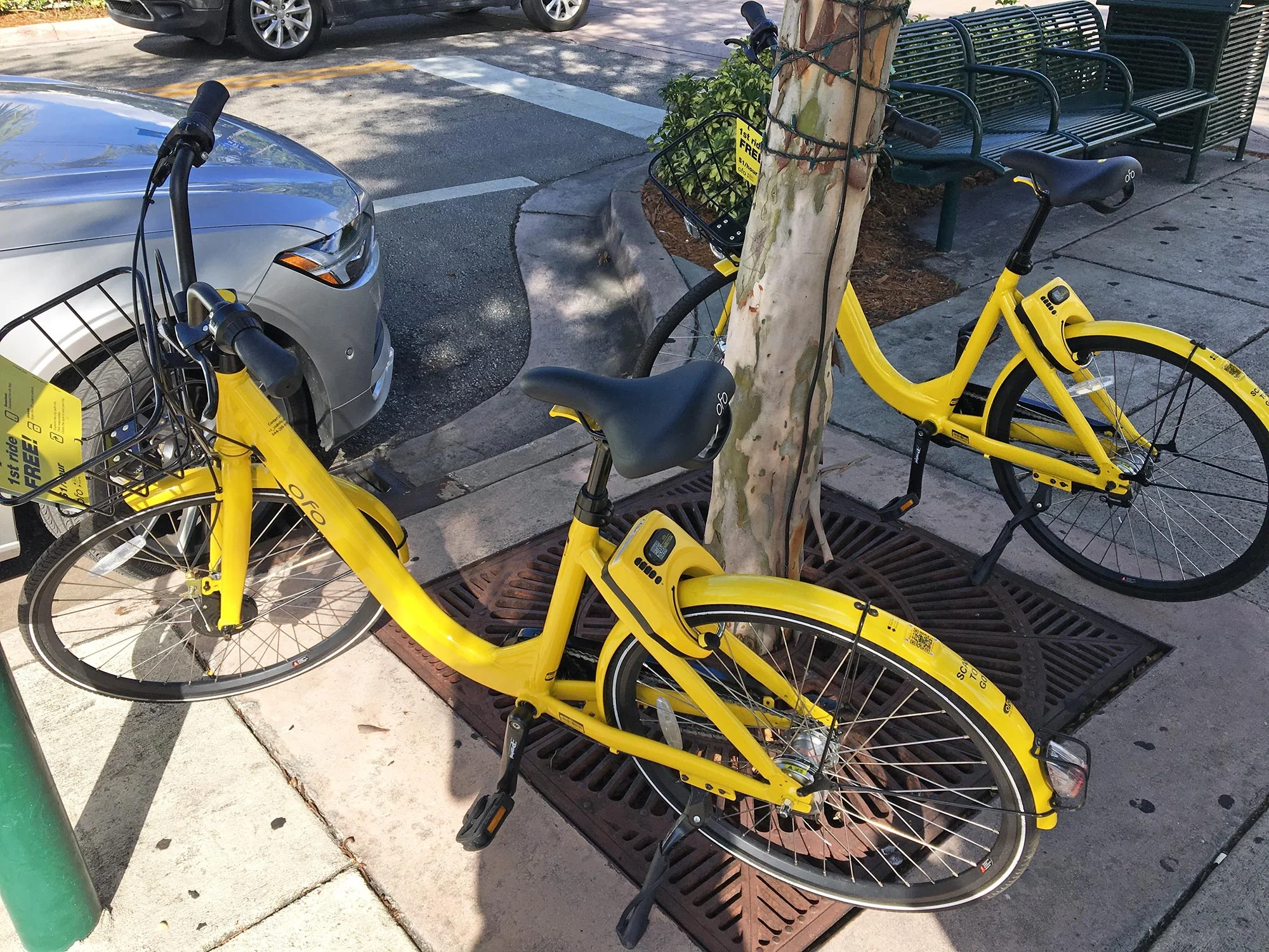 ofoBikes2.jpg