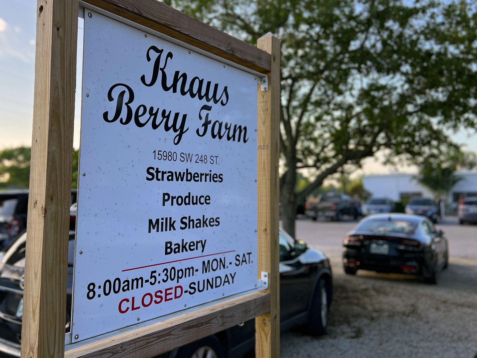 South Florida Sweetness is Knaus Berry Farm โ MiamiHal - the smart move ...