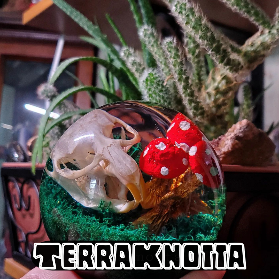 TerraKnotta