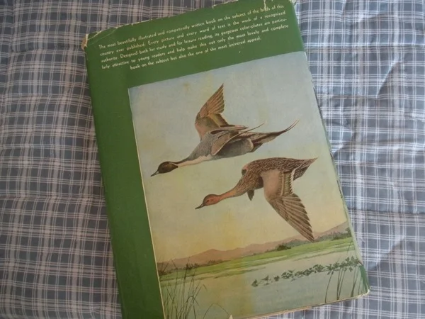 1936 Birds of America Book back.jpg