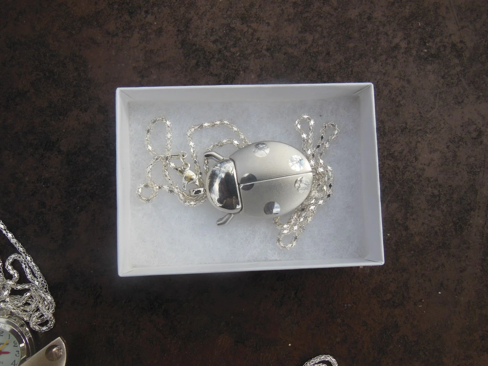 Silver Tone Ladybug Watch in box.jpg