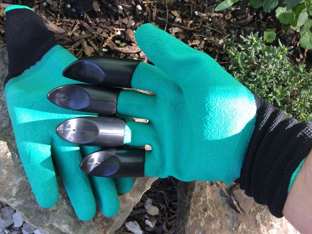 Garden claws in garden.jpg