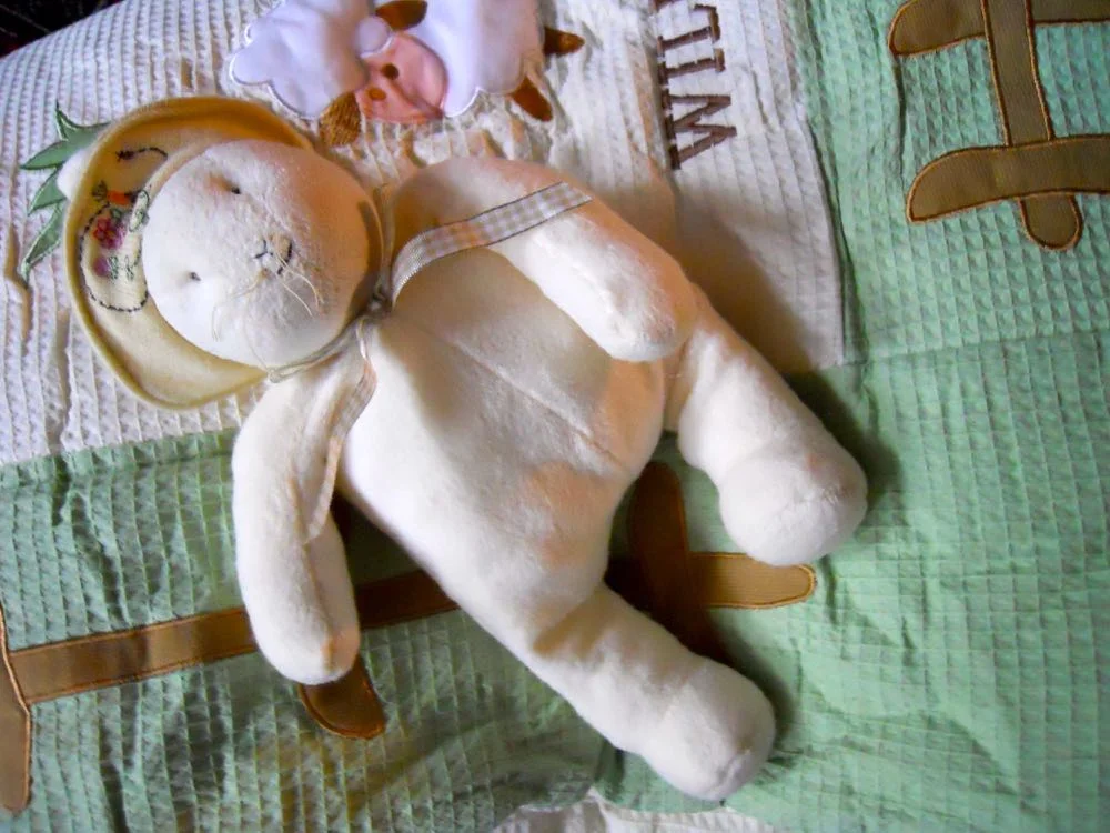 Willa Lynn baby quilt bunny.jpg