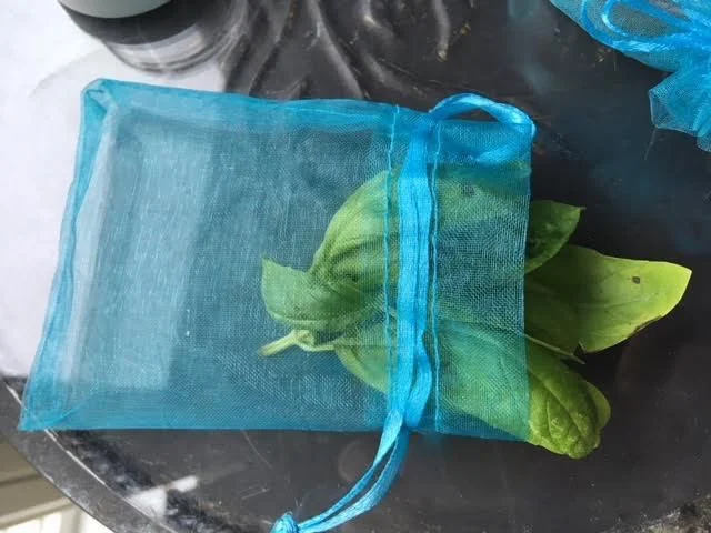 honey seed saving packs example.jpg